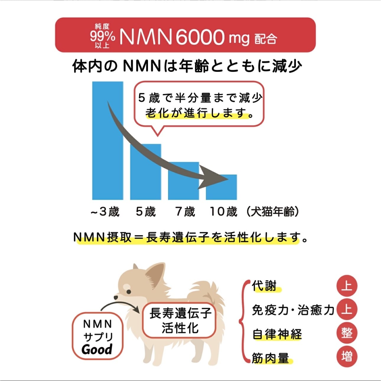 Good 元気だよ | QUEUE DE CHIEN ✂︎