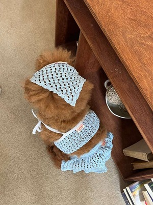 予約【pecoramou select】cottage series Babushka (hat)