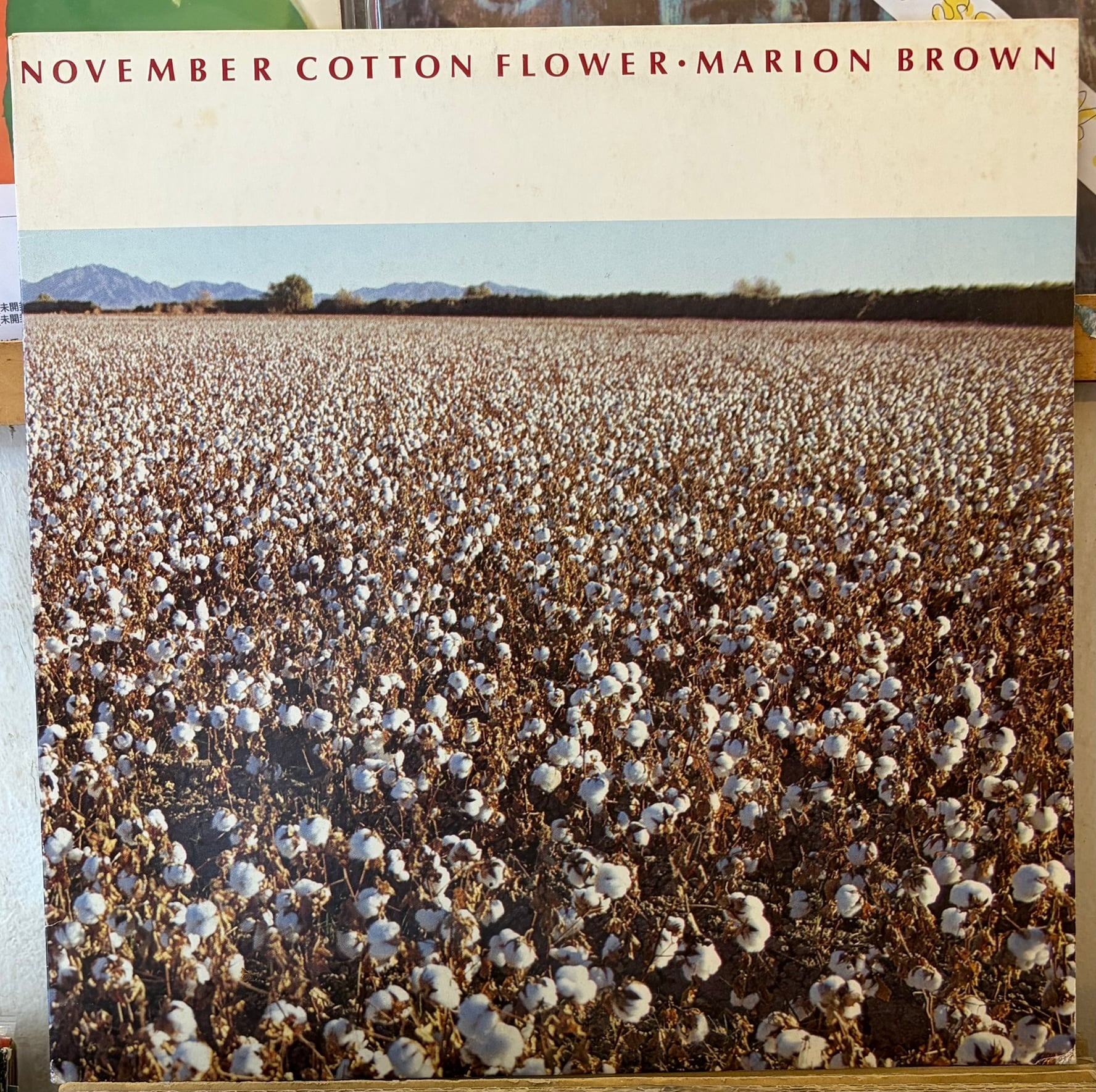 LP ティム・ホジキンソン, カムラア 俳句、その拡張された世界 EM1216DLP EM Records /00260 Haiku In The Wide World（俳句、その拡張された世界） | Tim