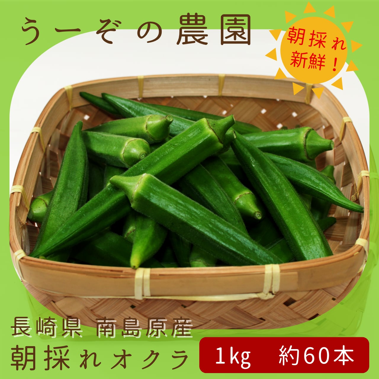 朝採れオクラ1kg 約60本【うーぞの農園】 おくら 長崎県 南島原市 朝どれ 朝どり 新鮮 旬