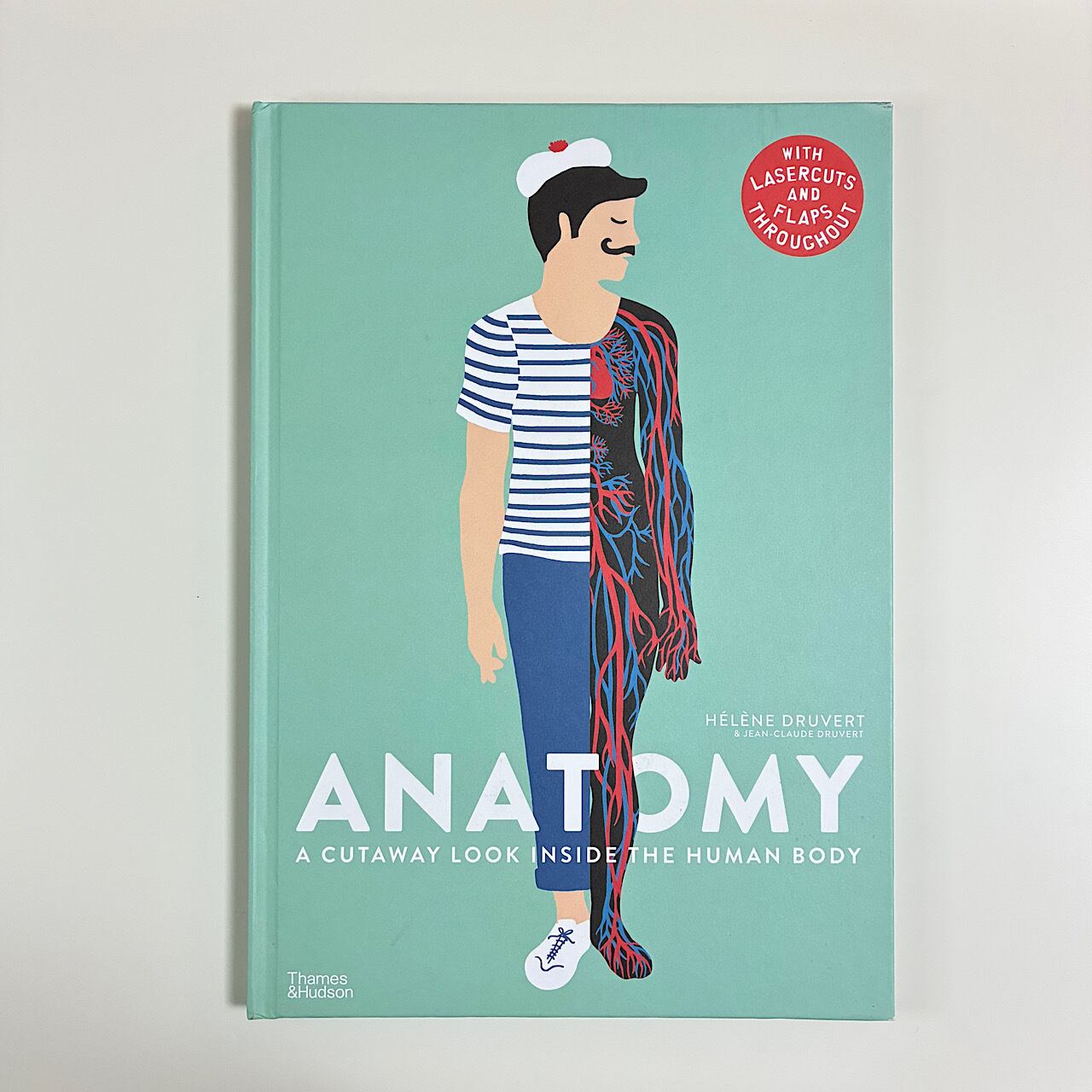 Anatomy : A Cutaway Look Inside the Human Body | 素敵な洋書の絵本
