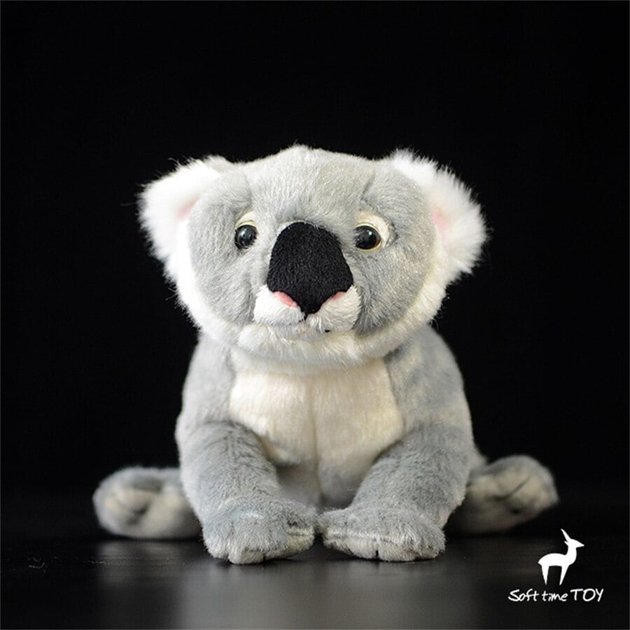 ☆コアラ☆ ぬいぐるみ・ | ぬいぐるみ専門店 くろにゃん