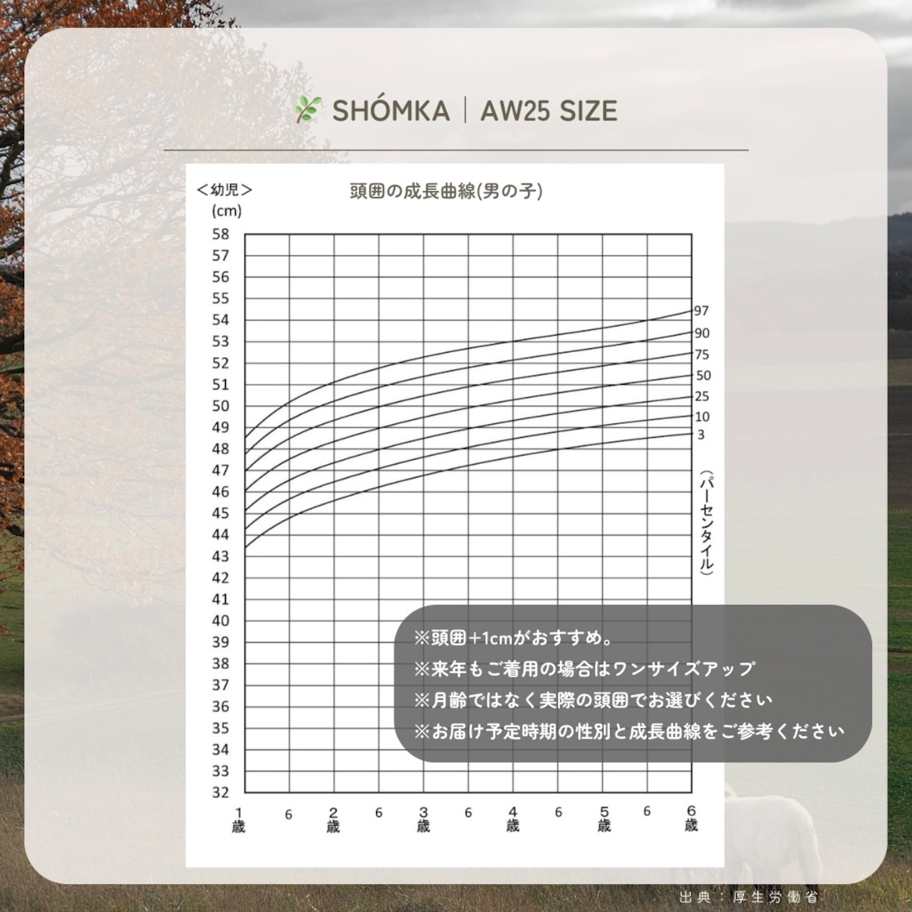 フラワー【7月下旬お届け】SHÓMKA / FLOWER HATS