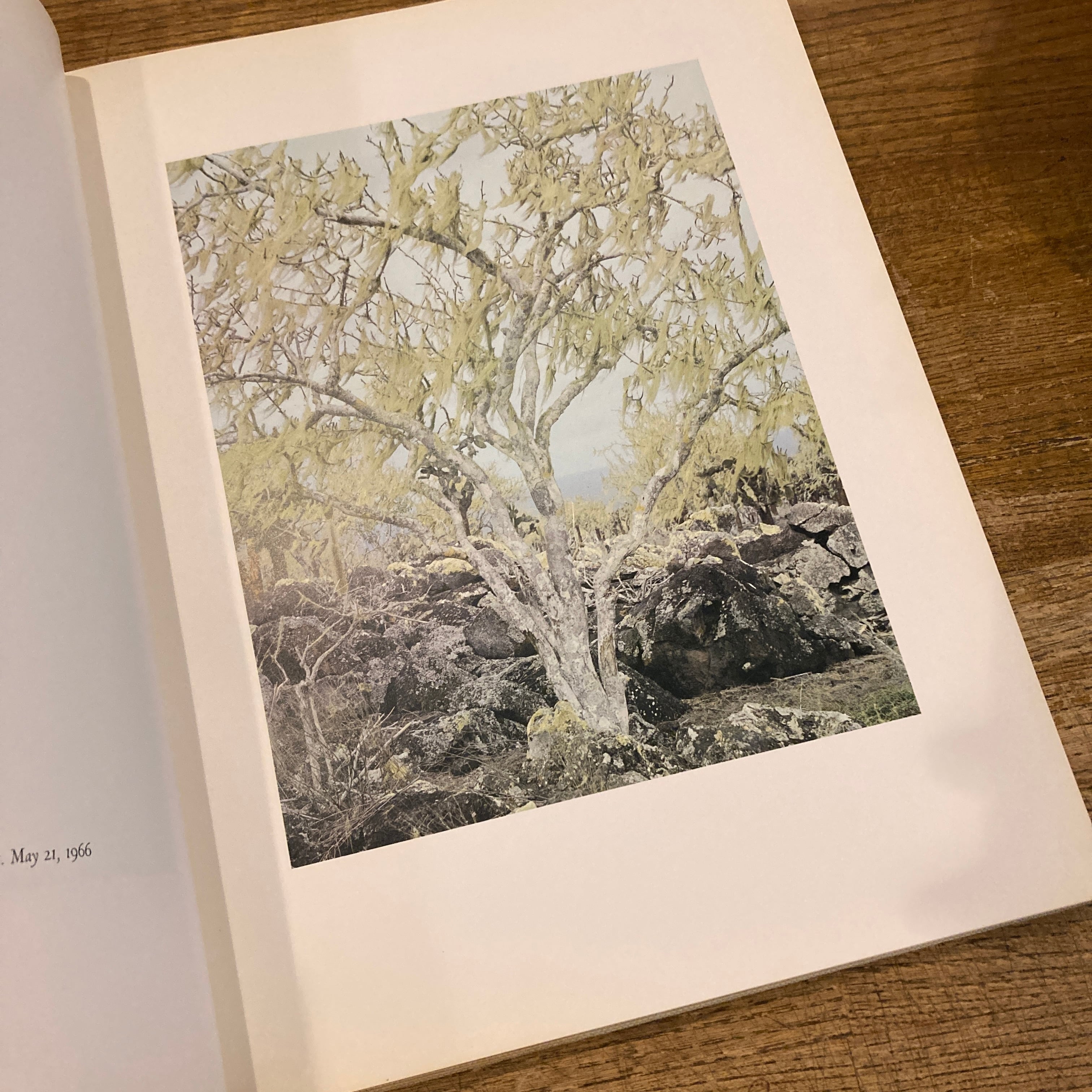 ELIOT PORTER 写真集　英語 エリオット・ポーター写真集 Eliot Porter: The Color of