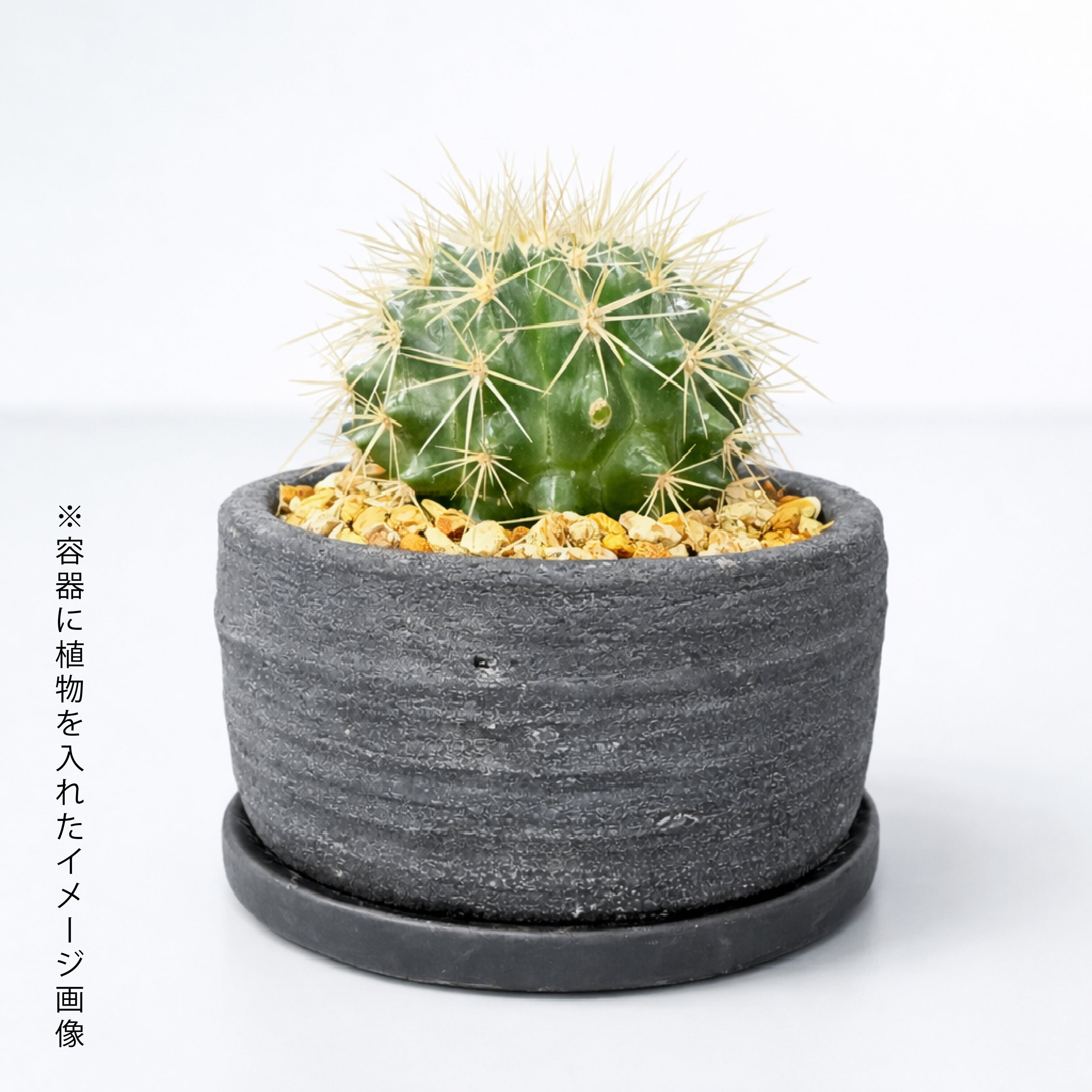 臨場感あふれるお洒落な黒陶器鉢（受け皿付き） | インテリアグリーン
