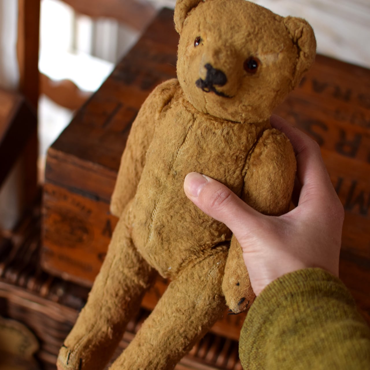 小柄なクマのぬいぐるみ | Brocante de La Cocotte （フランス