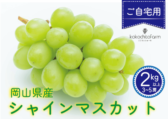 由加様専用! 2kg ×2箱 岡山県産シャインマスカット 優品 岡山県 由加様専用! 2kg ×2箱 岡山県産シャインマスカット 優品 岡山県