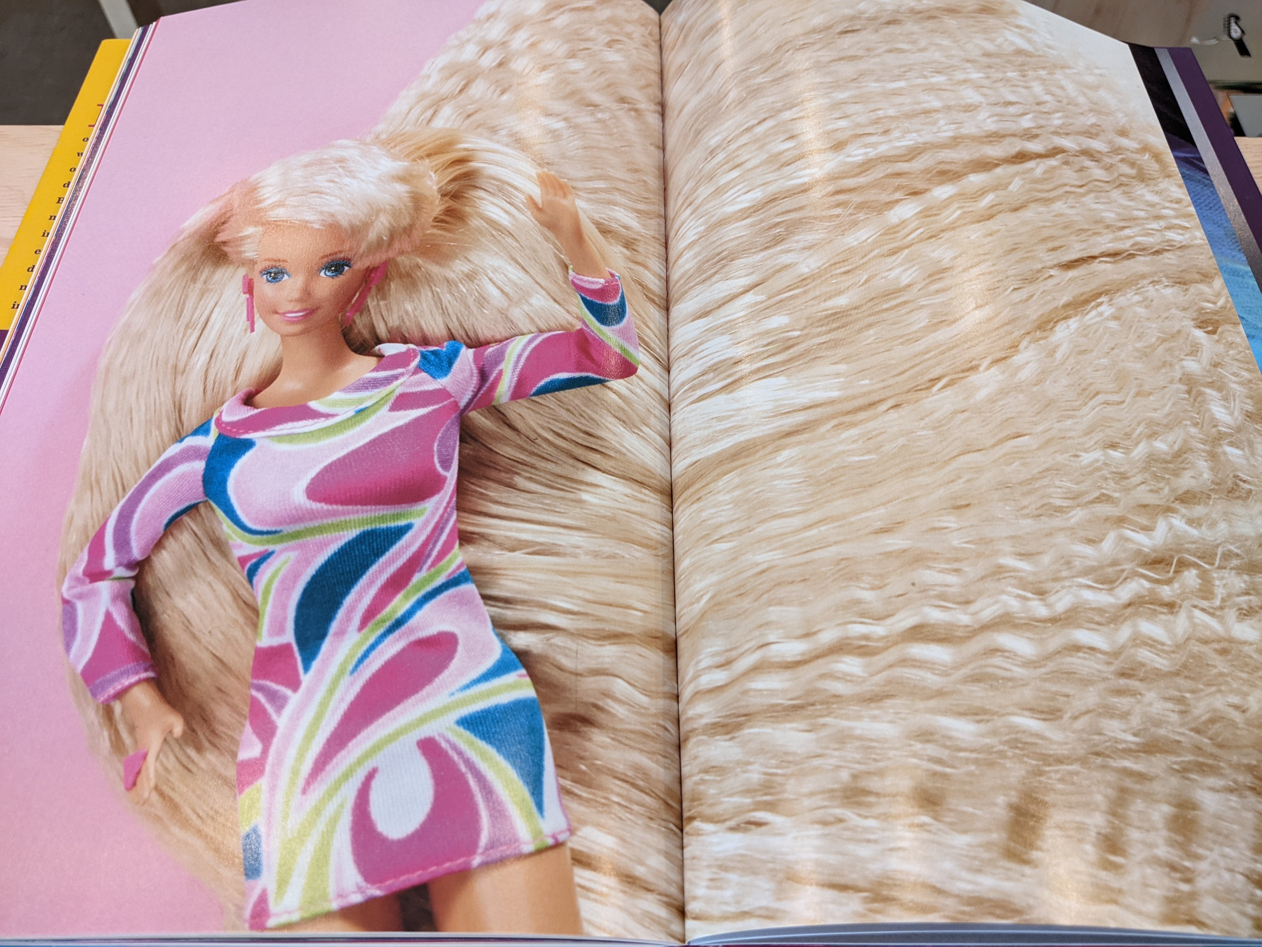 Dressing Barbie / バービー | Photobooks on the Road
