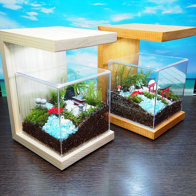 LED照明付き檜スタンド（苔テラリウム専用）ナチュラル | 工房・津軽moss