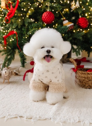 予約【Mabellefifi】Cozy Baby All-in-one (Ivory)