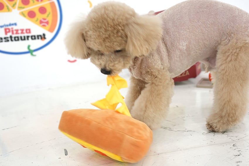 pizza multi toy / ノーズワーク ペット 犬 おもちゃシャカシャカ 知育