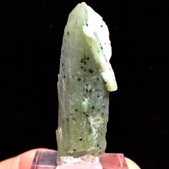 15) 内モンゴル産へデンバーガイト(新種)