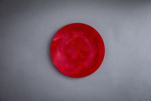 さくら吹雪 (丸皿２７．５cm) ：紅さくら・丸(赤)