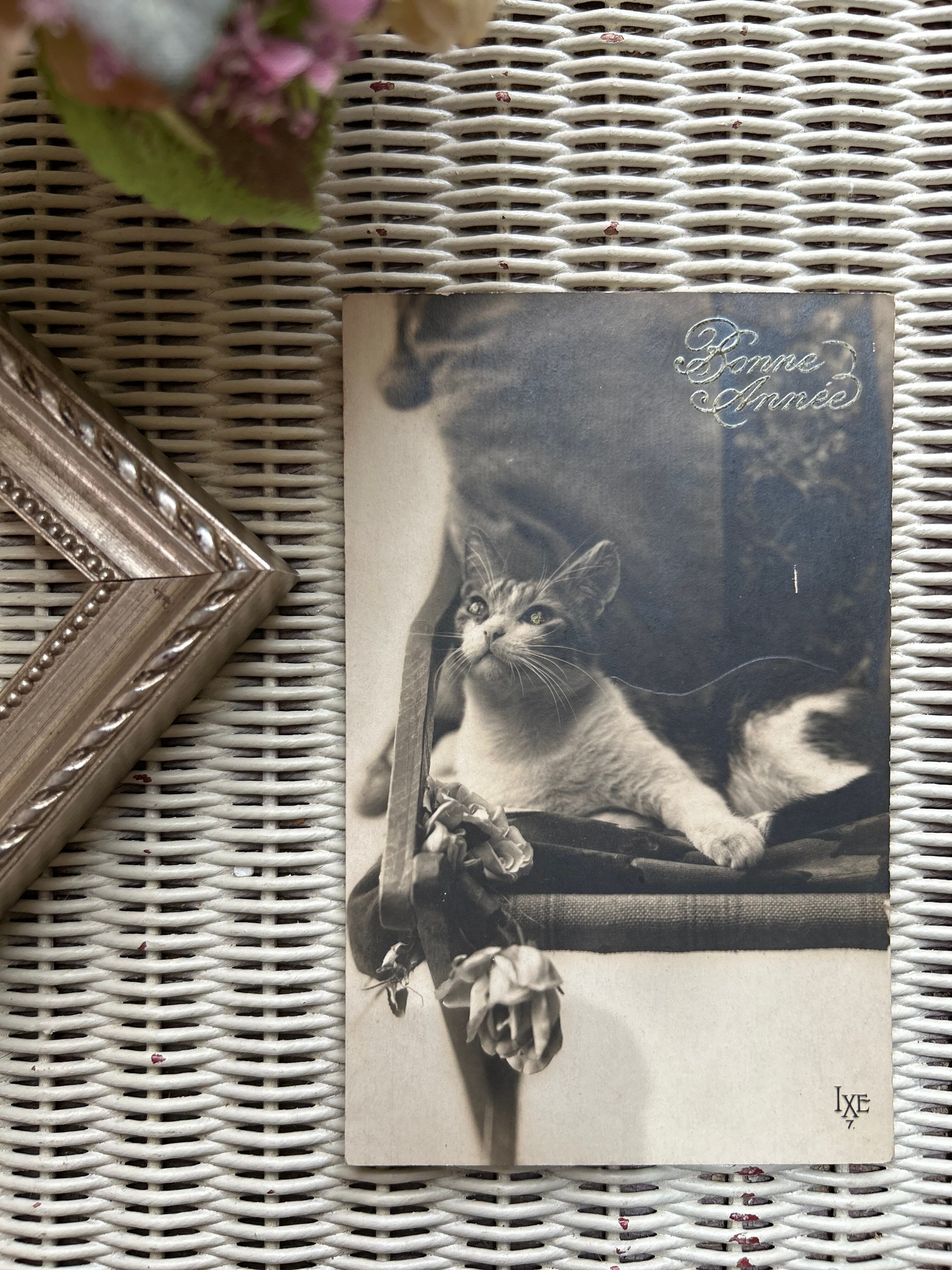 フランス アンティークカード 1928年 chat 猫 セピアカラー Bonne Annee 額装 インテリア