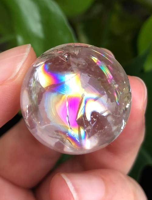 あなたの生命の力強さを