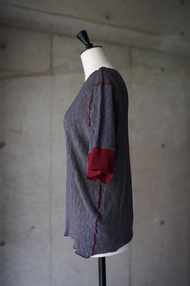 PLTS HAISHOKU CS