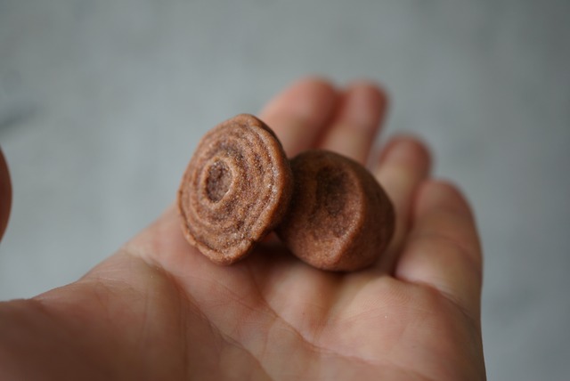 モロッコ産ストロマトライト　Stromatolite　1058