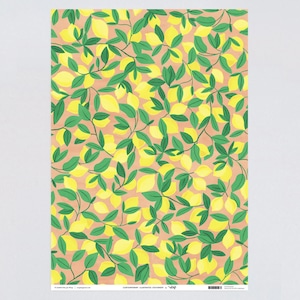 WRAP Wrapping Paper "Lemons " Artwork by Isabelle Feliu (49cm x 70cm)