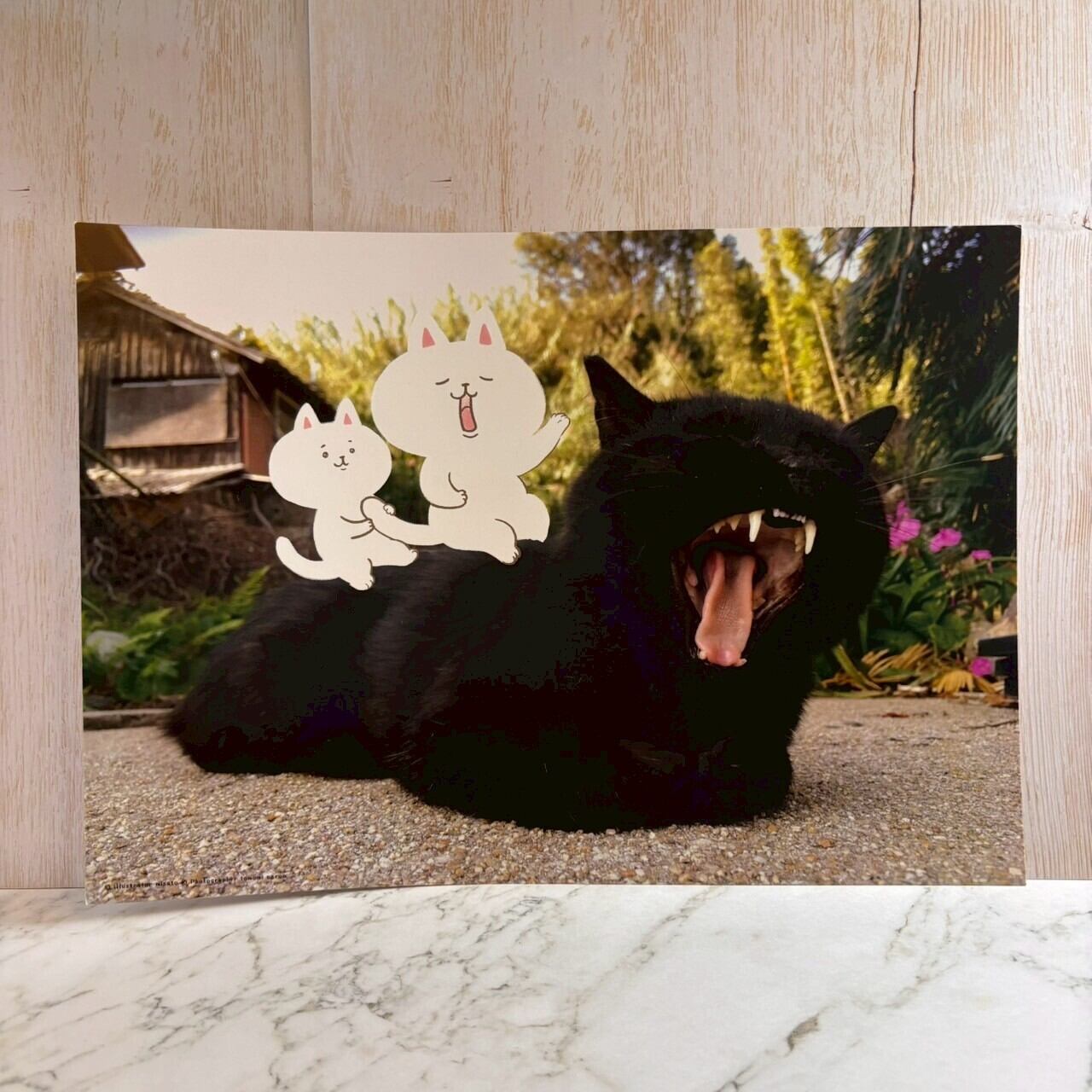 【写真×イラストコラボ】猫島猫の日常 A4アートプリント04 こっちのあくびが大きいぞ