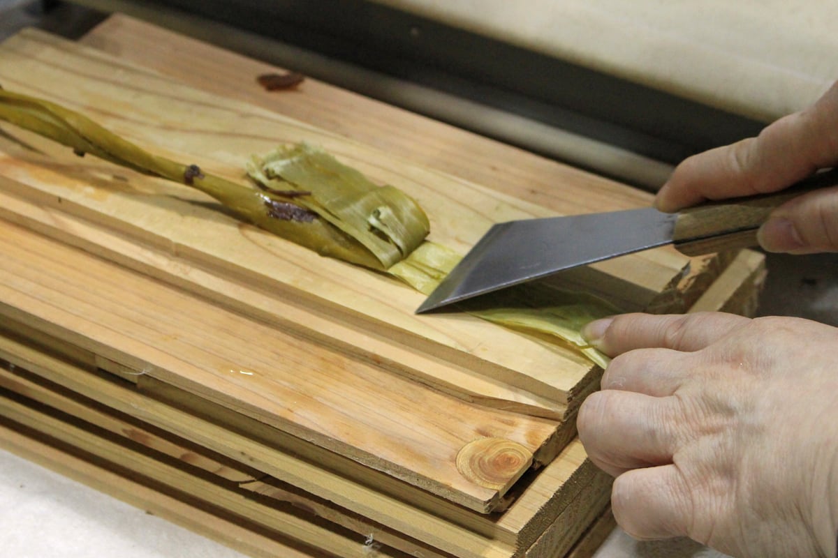 1000年持つ和紙を一から作るワークショップ Private Workshop for Making Paper Last 1,000 years