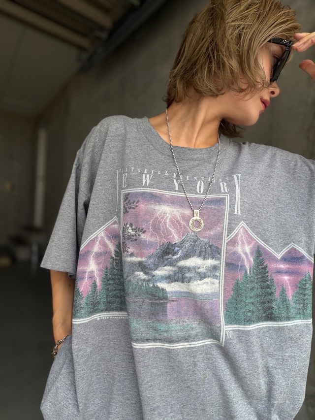 （CS2391）93‘s Tennessee River SCREENWORKS lightning landscape graphic tee  made in USA