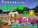 【令和５年新米】佐田の郷の米（３ヶ月定期便<白米１０kg／玄米１１kg＋旬のもの>×４回）【慣行栽培米】