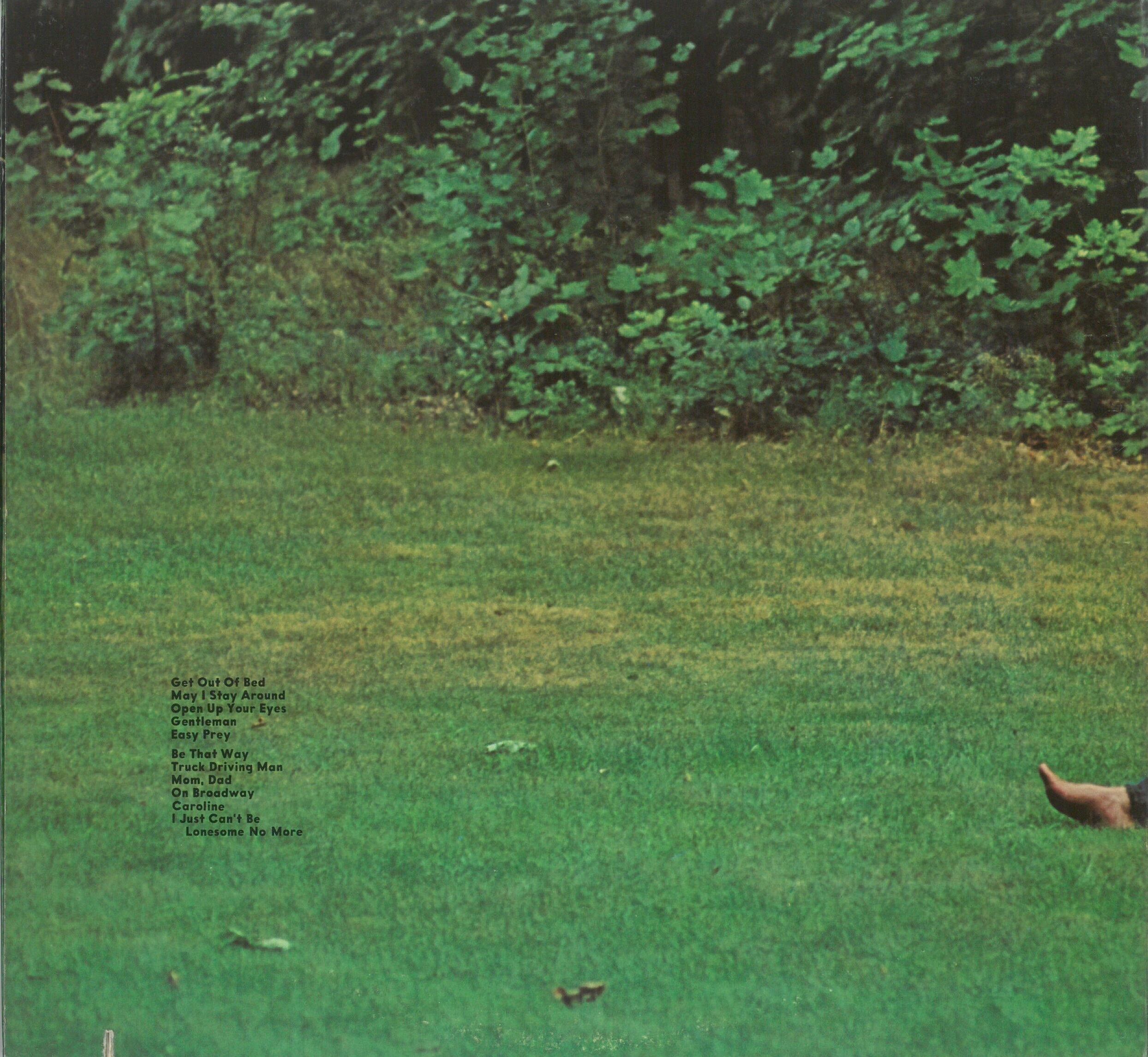 LIVINGSTON TAYLOR / LIV (LP) USA盤 | 弦曲堂 Americana music