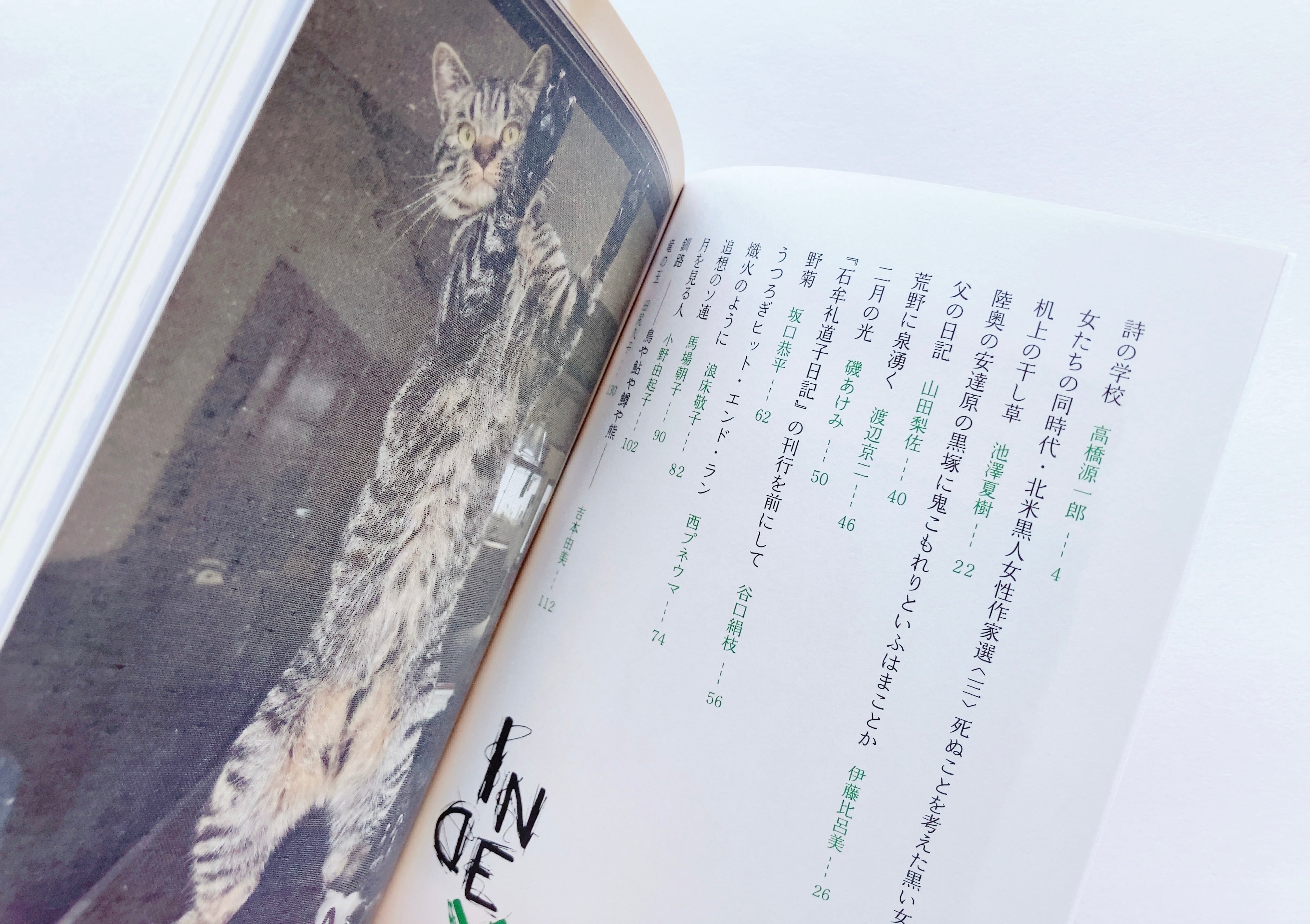 アルテリ　二十一号