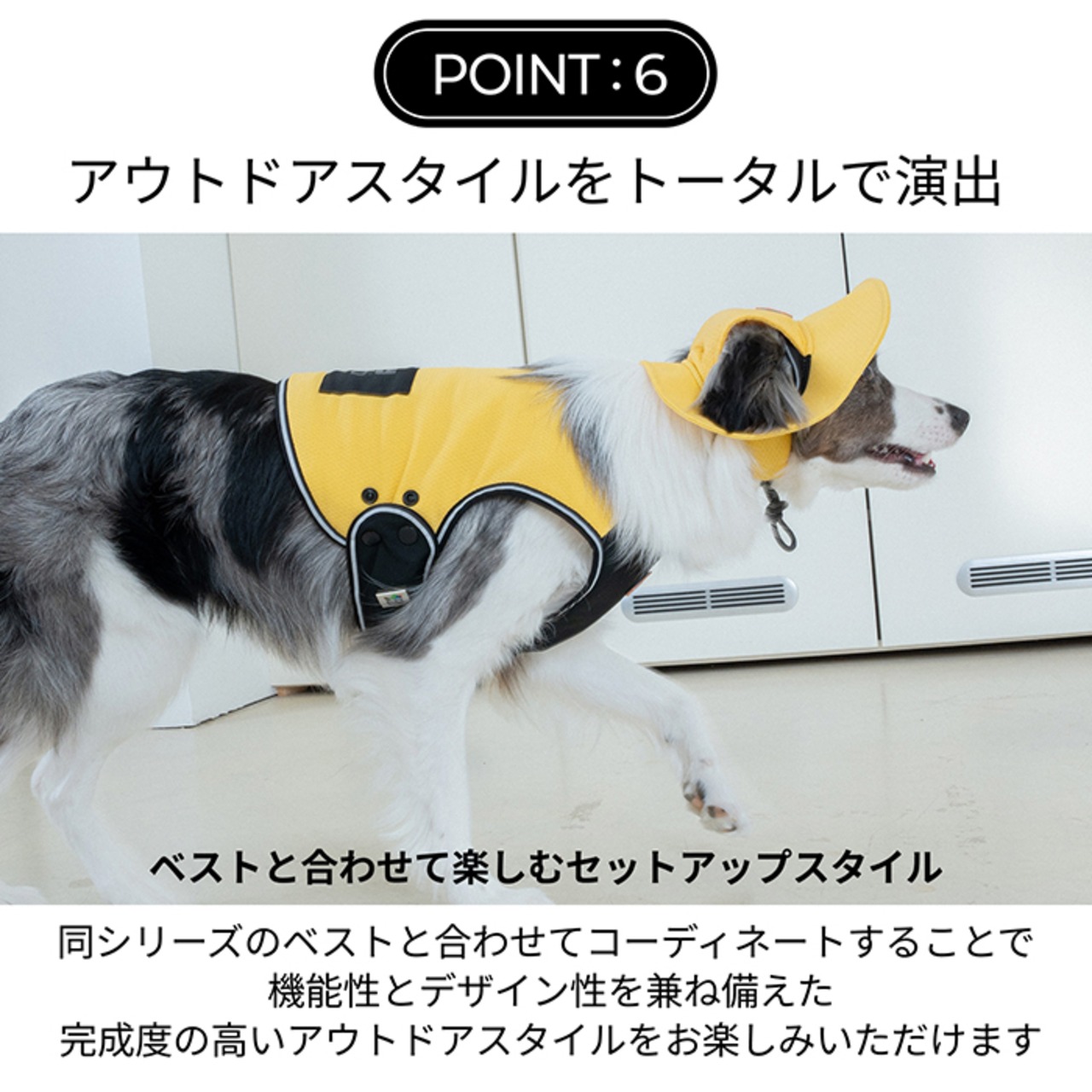 【puppygallery公式】 Clay Cooling Hat　2XL