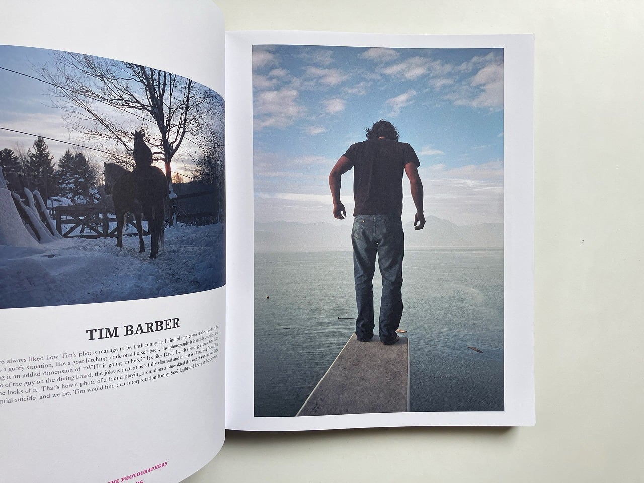 The Vice Photo Book | 翠ブックス | suibooks | 写真集 アートブック