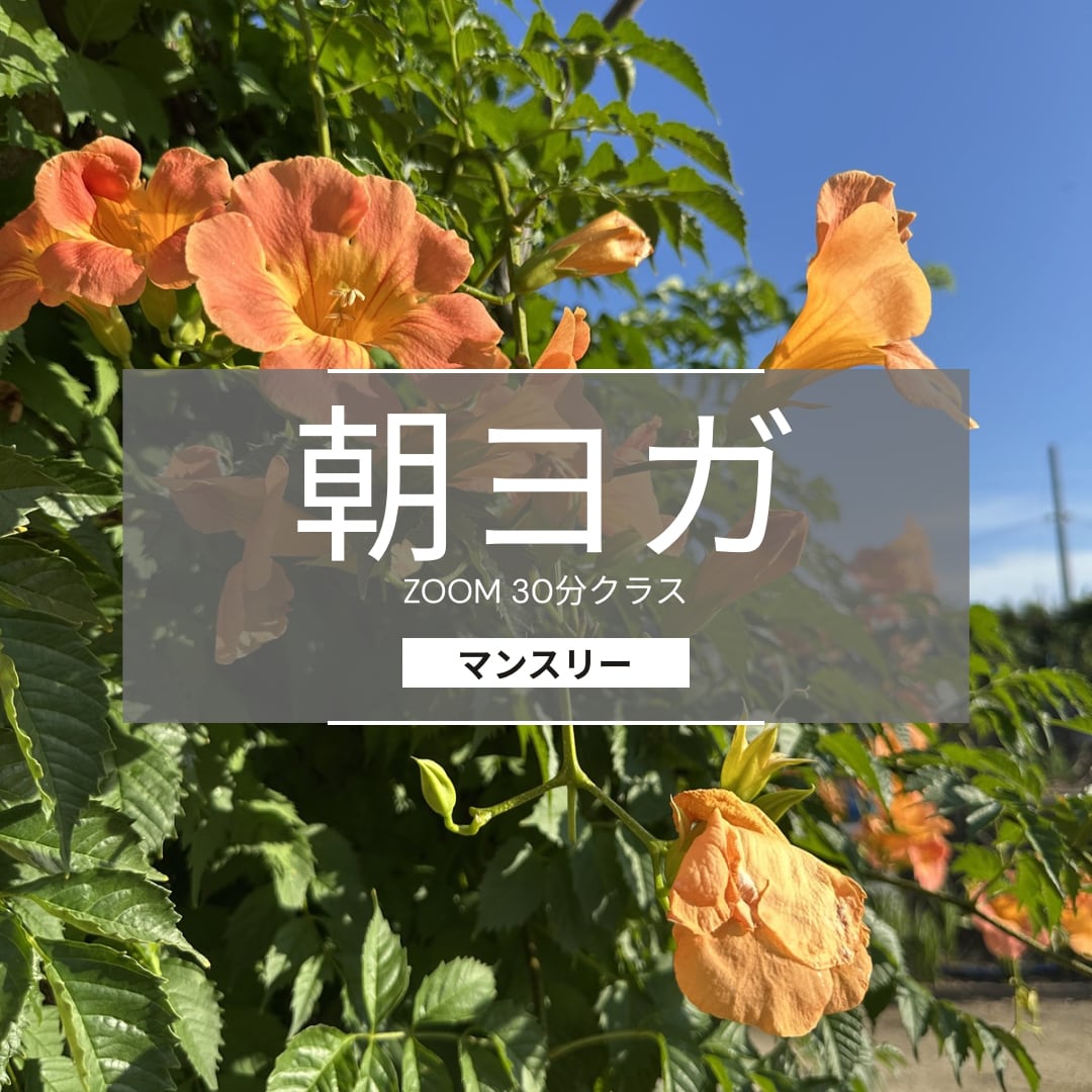 【月4回】朝ヨガ・マンスリー