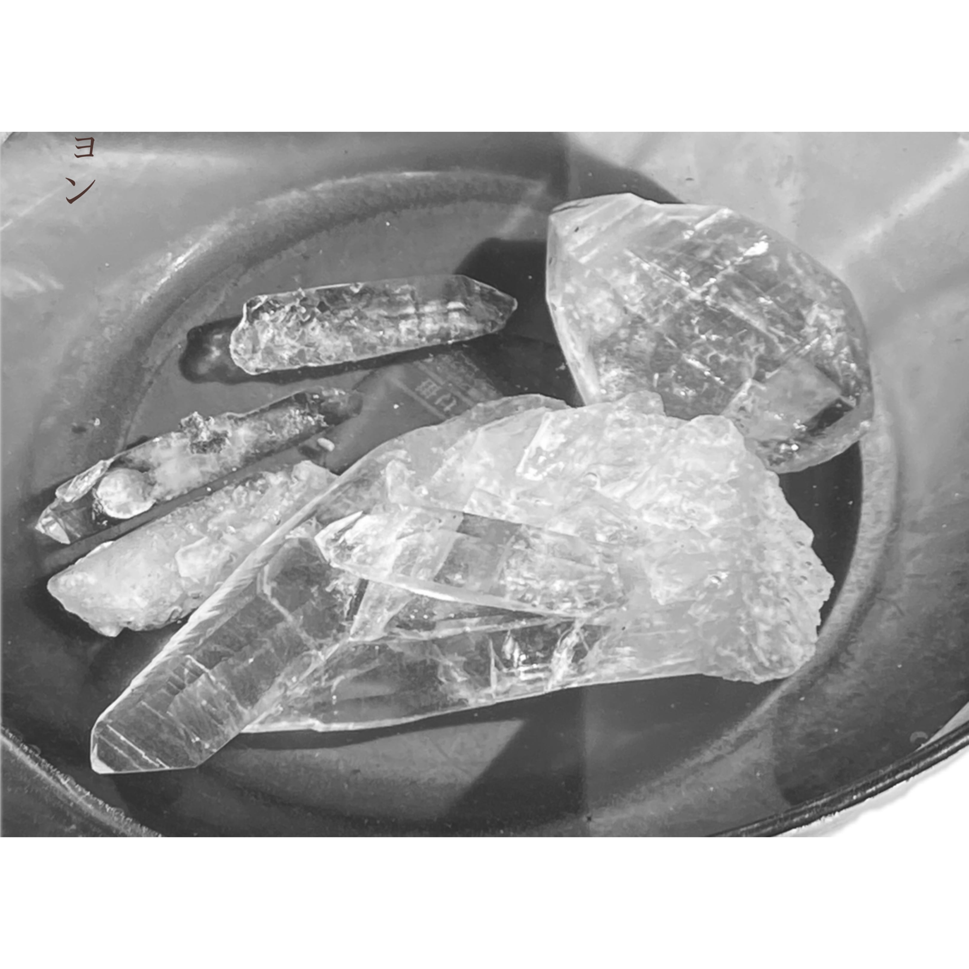 3月7日お茶会参加