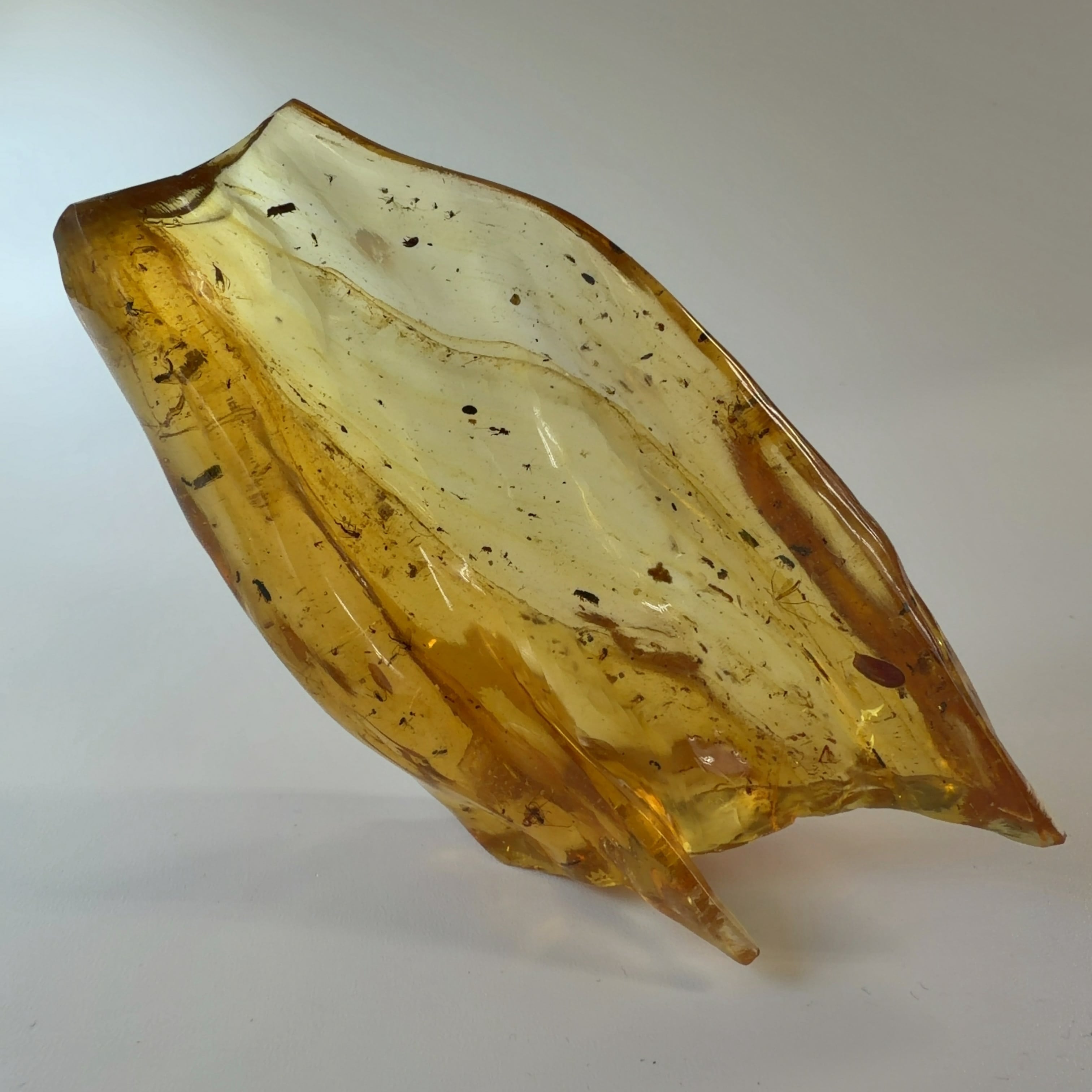 化石]琥珀・アンバー | クリスタル・ワールド御徒町店