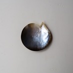 貝殻のプレート