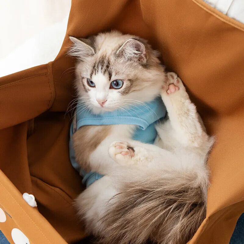 猫ハグエプロン猫エプロンかわいいクマプリント猫アーティファクト