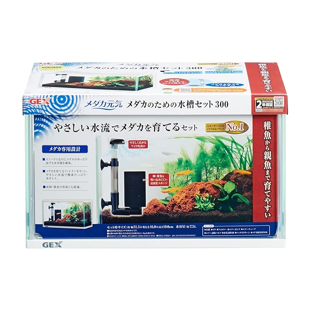 卵生メダカ アフィオセミオン ミンボン GEGVPO 2018/17 熱帯魚 卵生メダカ Aphyosemion mimbon GEGVPO 2018/17 1ペア