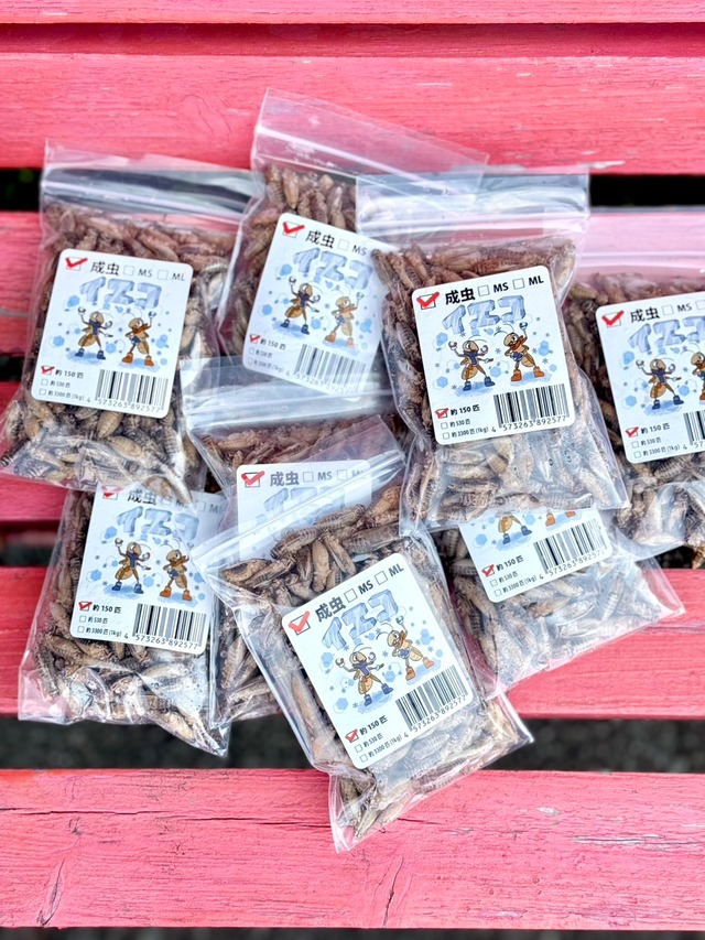 【冷凍イエコオロギ成虫バラ】