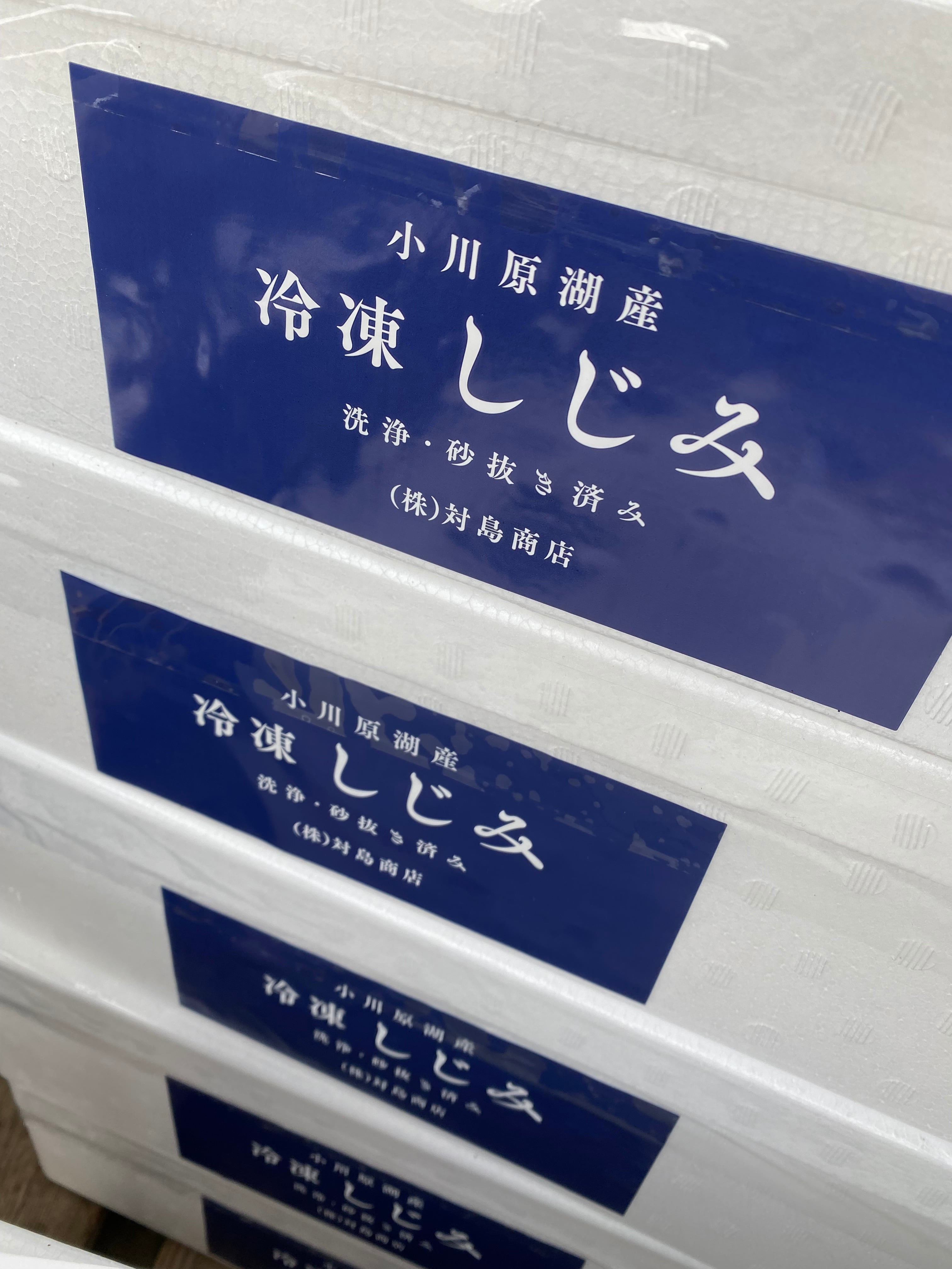 青森県 小川原湖産 冷凍しじみ 500g×5袋（2.5kg）【送料無料