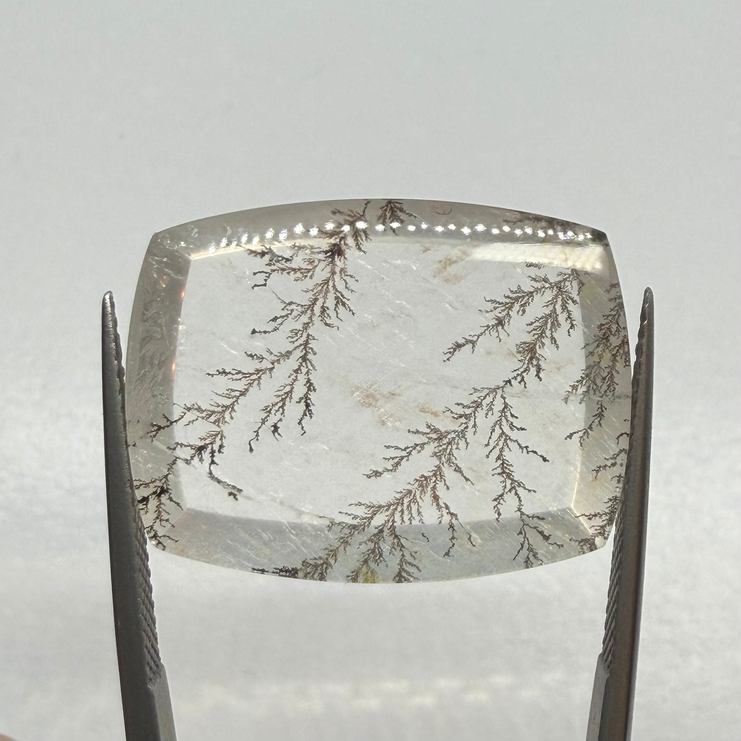 冬景色　デンドリティッククオーツ2