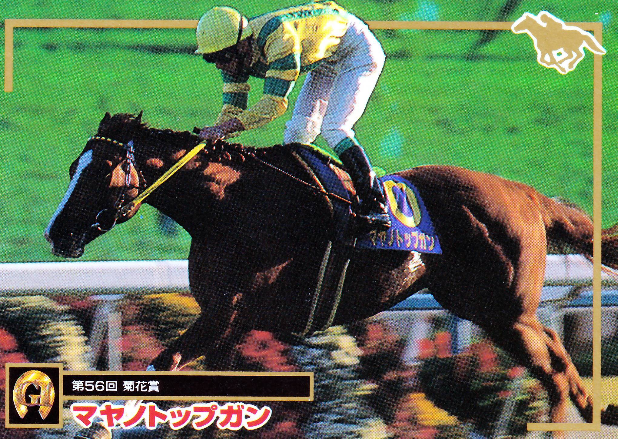 サイレンススズカ：第64回 日本ダービー出走馬「サラブレッドカード 97