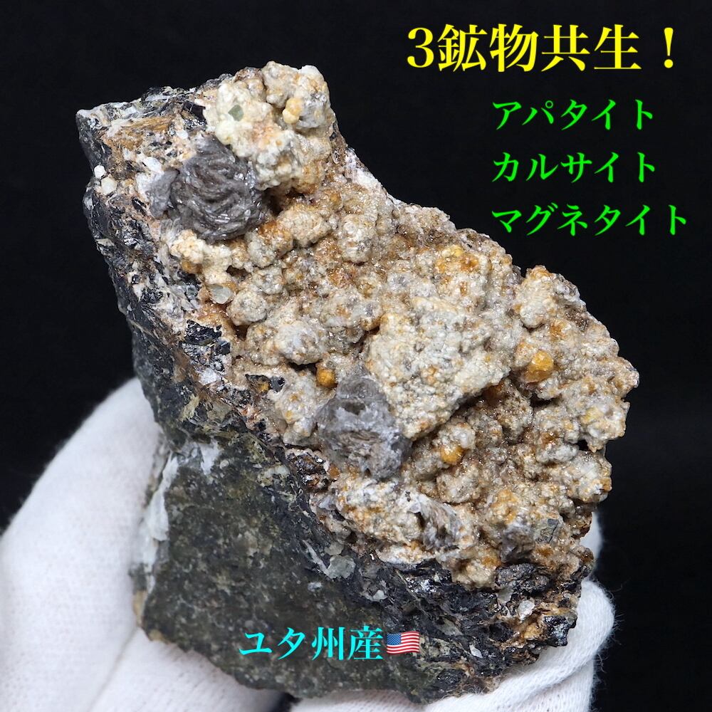 ３鉱物共生！マグネタイト アパタイト カルサイト 磁鉄鉱175,6gMGT043