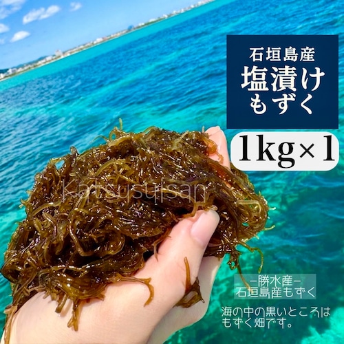 沖縄県石垣島産 塩もずく（冷蔵・塩漬け）1㎏サイズ▶︎1個【送料込み】石垣島の味をまずは1kgから。