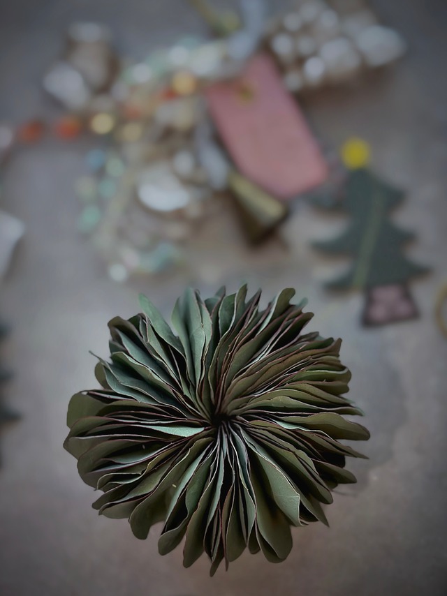 ユーカリミルフィーユS