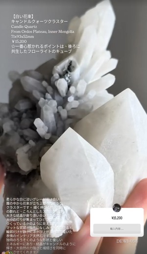 ⭔ お客様専用ページ ⭔ springfield_shona様　