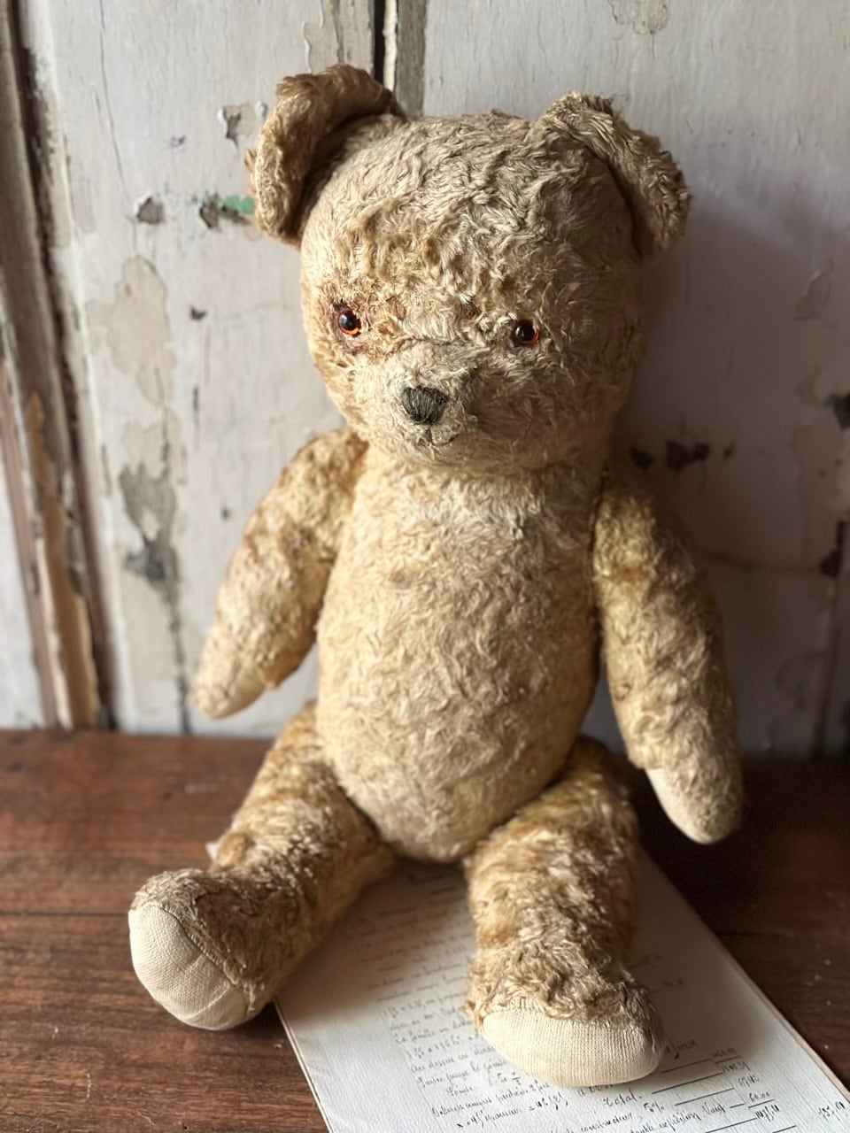 ぬいぐるみ | Brocante de La Cocotte （フランスアンティーク・ドライ