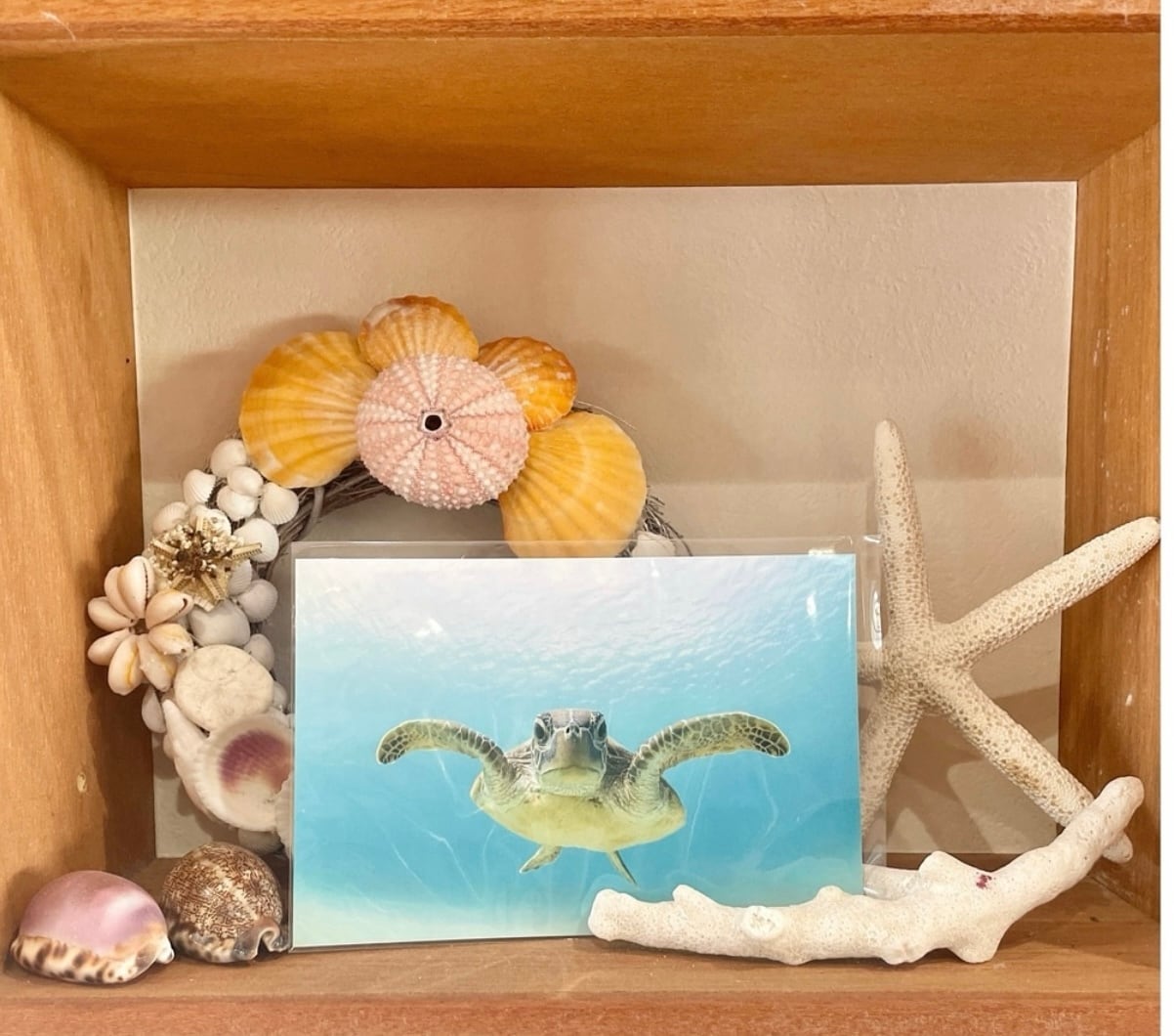 ポストカード全42種 | ネバーランド＋