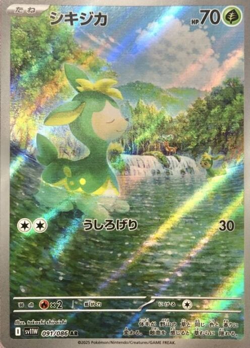 【美品】シキジカ(AR)