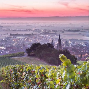 ★新着ワイン★【シャルル・フレイ】レザンキュヴェ 2022