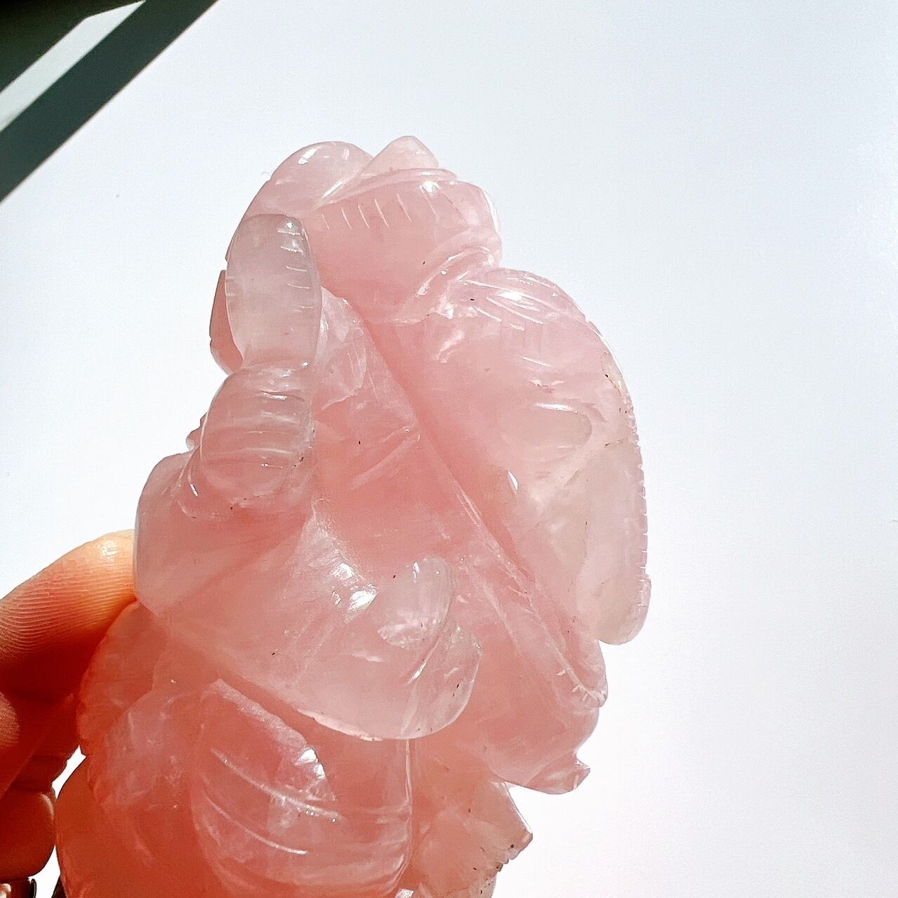 ローズクォーツ・ガネーシャ | waiopipi （ワイオピピ）