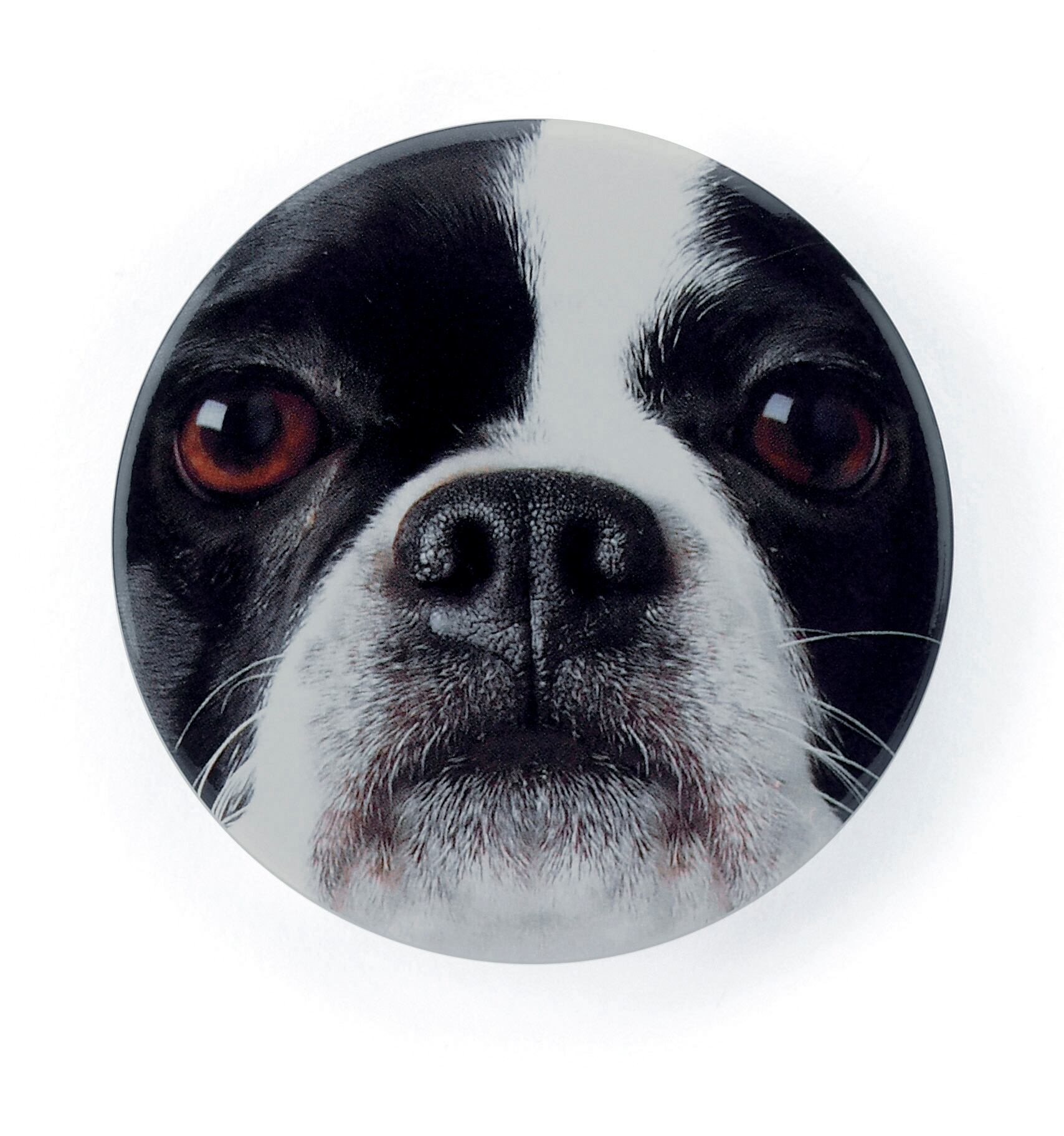 French Bulldog Mirror_CEFB6M